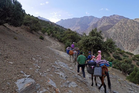 Tour image 14