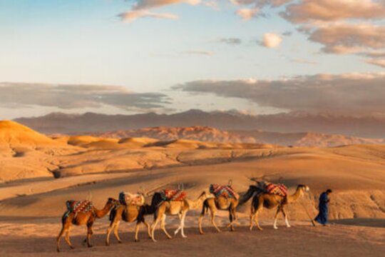 Tour image 5